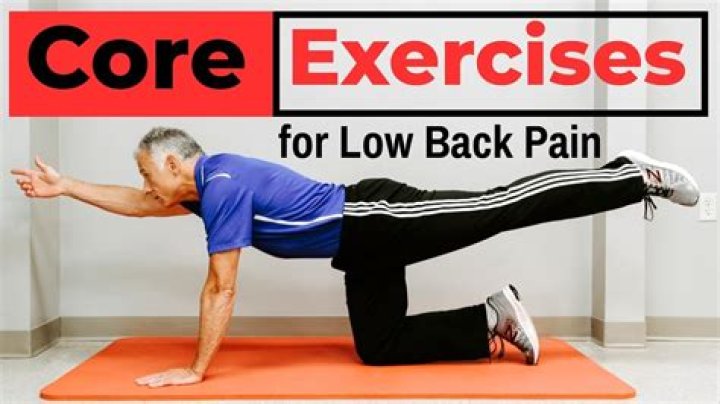 5 Core Exercises to Eliminate Back Pain