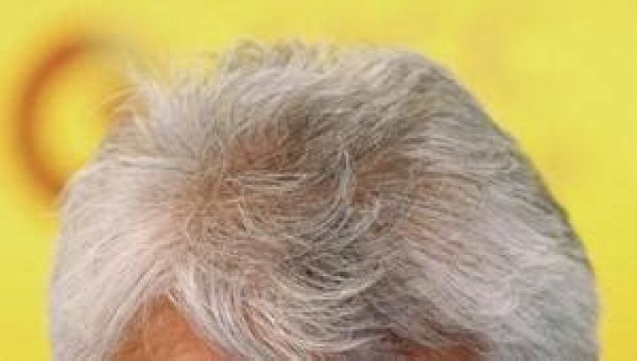 Alijan Ibragimov Net Worth | Celebrity Net Worth