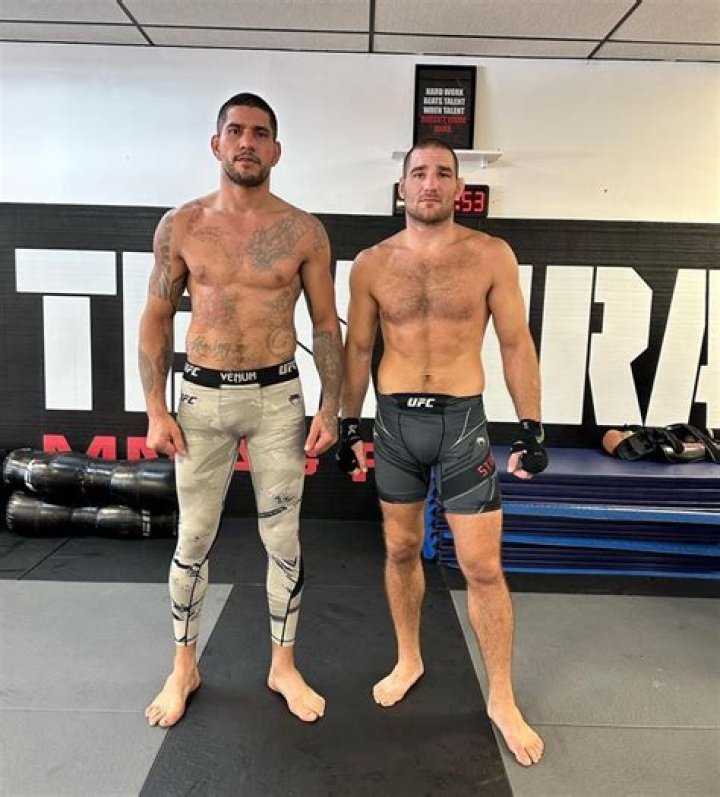 Ana Ivanovic Height, Weight, Age, Body Statistics