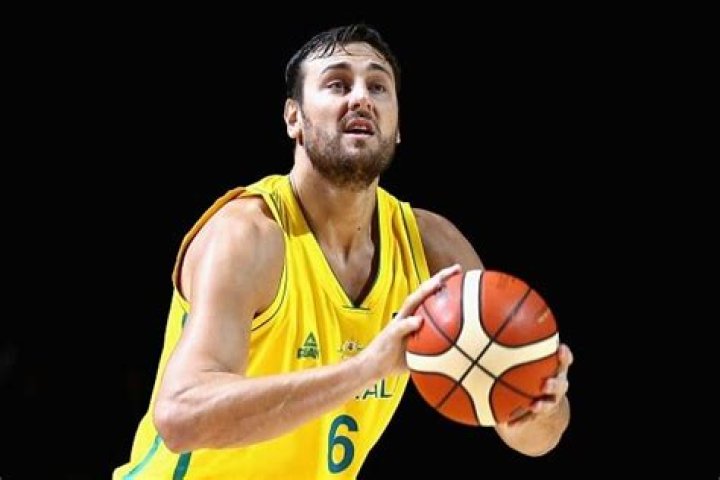 Andrew Bogut Net Worth | Celebrity Net Worth