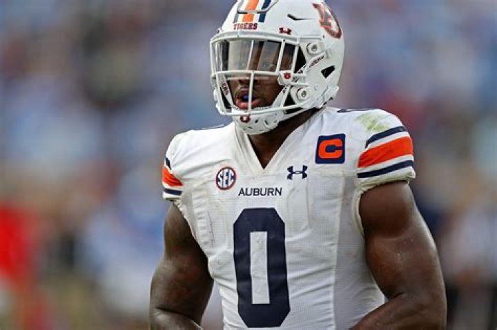 Auburn Tigers Linebacker Owen Pappoe's Biography, NFL Draft, Salary, Net Worth, Contract, Earnings and Girlfriend