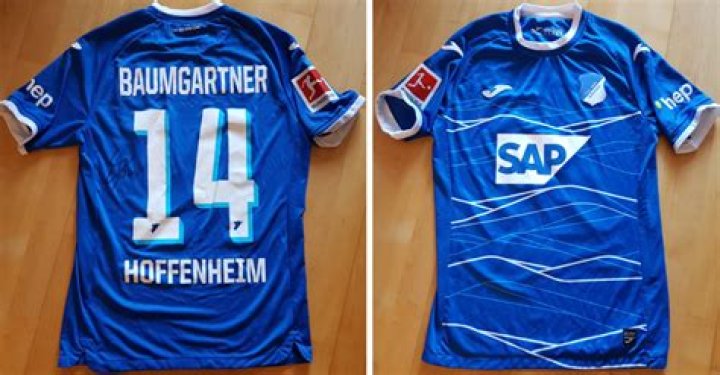 Hoffenheim's Christoph Baumgartner (Age, Family, Girlfriend, Career, Net Worth)