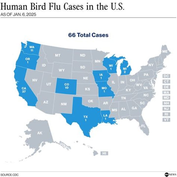 Texas Reports First Human Case of Bird Flu—How You Can Stay Safe